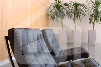 interiores_542562