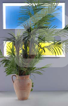interiores_651541