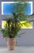interiores_651541