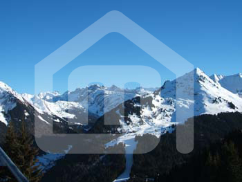 natureza_104093