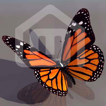natureza_1047794