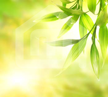 natureza_14362618