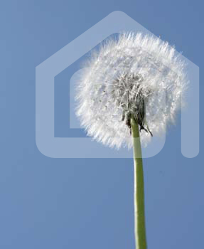 natureza_1459114