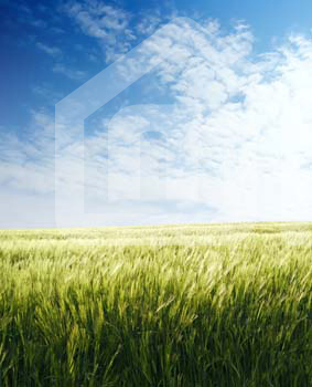 natureza_3204159