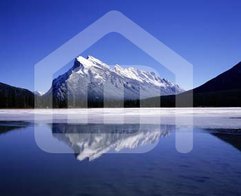 natureza_413981