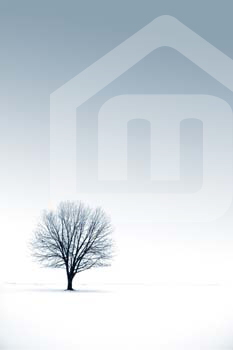 natureza_54861