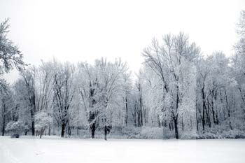 natureza_63575