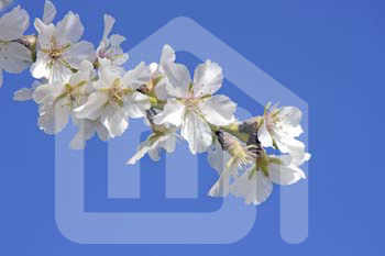 natureza_8969413