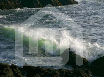 natureza_9vTymJgVxOgGUlrPVWXibblkJjguWYHAs87bVCfY