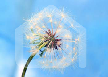 natureza_BtkO72dqa93wcxzBoe4wcco6TLXthBK97RUYXsdZ