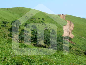 natureza_I7F0Te14Fyd0JIg3Bns8nmHdOCkVVt6usb9167AT