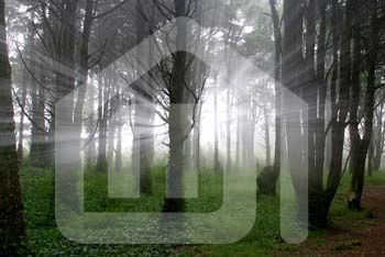 natureza_Q0efjSEVipkNMoCDGMc1xCkxKYem9ScCMKmM64Pg