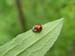 natureza_1198986