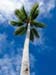 natureza_1211494