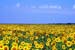 natureza_1305885