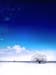 natureza_137303