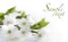 natureza_14023315