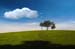 natureza_1404794
