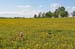 natureza_1429004