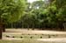 natureza_1447732