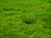 natureza_1454362