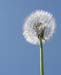 natureza_1459114