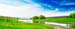 natureza_16569757