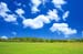 natureza_2231008