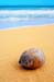 natureza_2259786