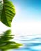 natureza_2768994