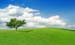 natureza_2850151