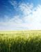natureza_3204159