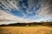 natureza_3227784