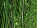 natureza_3597448