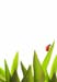 natureza_3620251