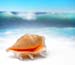 natureza_3621656