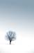 natureza_54861