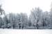 natureza_63575