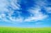 natureza_9135685