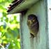 natureza_99136601