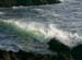 natureza_9vTymJgVxOgGUlrPVWXibblkJjguWYHAs87bVCfY