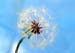 natureza_BtkO72dqa93wcxzBoe4wcco6TLXthBK97RUYXsdZ