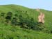 natureza_I7F0Te14Fyd0JIg3Bns8nmHdOCkVVt6usb9167AT