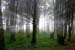 natureza_Q0efjSEVipkNMoCDGMc1xCkxKYem9ScCMKmM64Pg