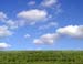 natureza_wbItCOr45wUg323Uc4HY6jHK71EVtg8GzyC6zSz3