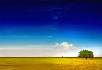 outdoor_135068 copy