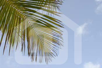 outdoor_1514644