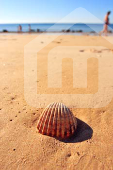 outdoor_1646484
