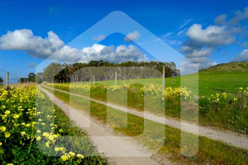 outdoor_2421390