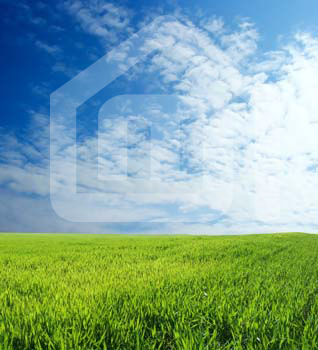 outdoor_2901467